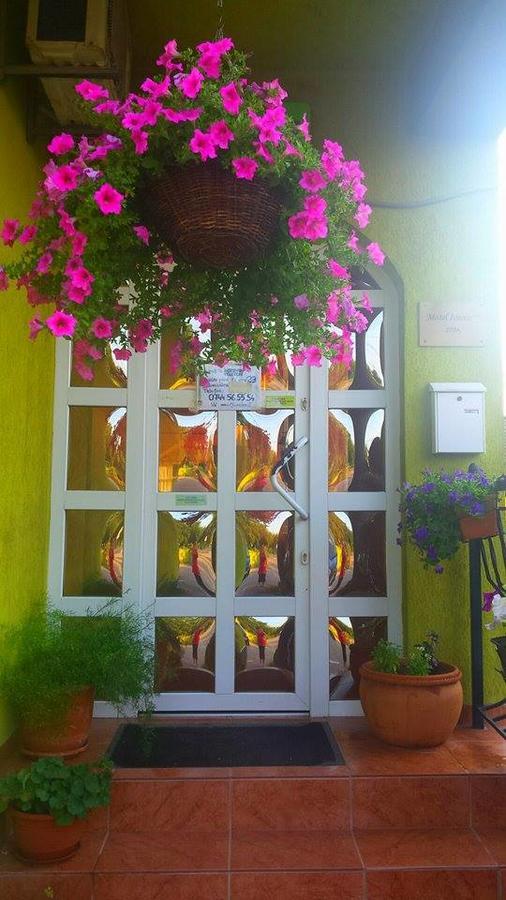 Motel Ioanis Mindruloc Exterior photo